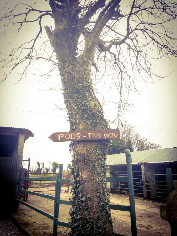 Carrigeen Glamping Kilkenny Exterior foto